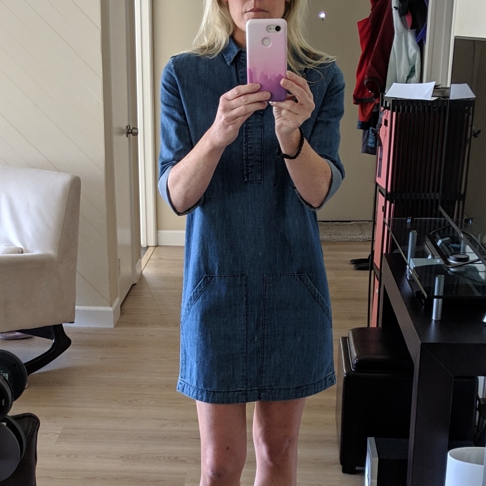 All Saints Jean Dress